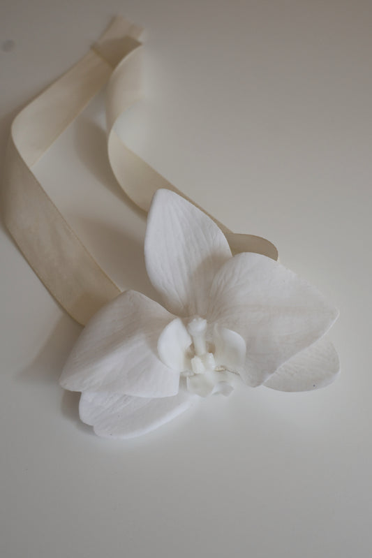 White Orchid Corsage and Buttonhole